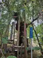 林泉寺(山形県)