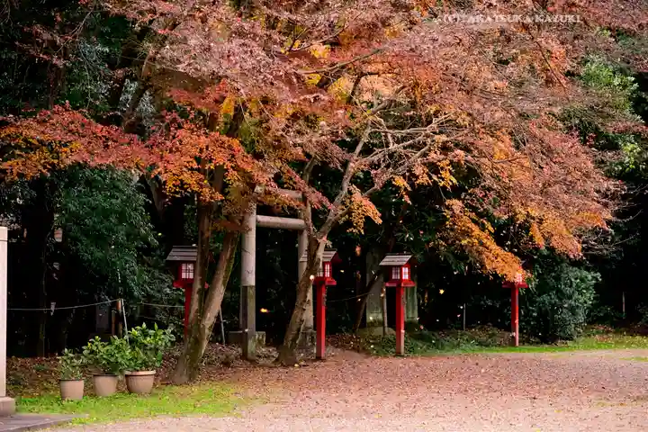 鷲宮神社(埼玉県)
