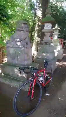 日枝神社の狛犬