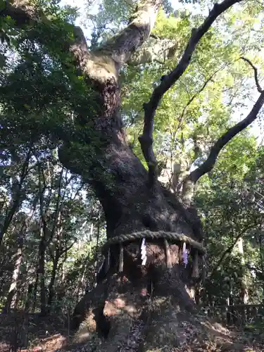 熱田神宮の自然