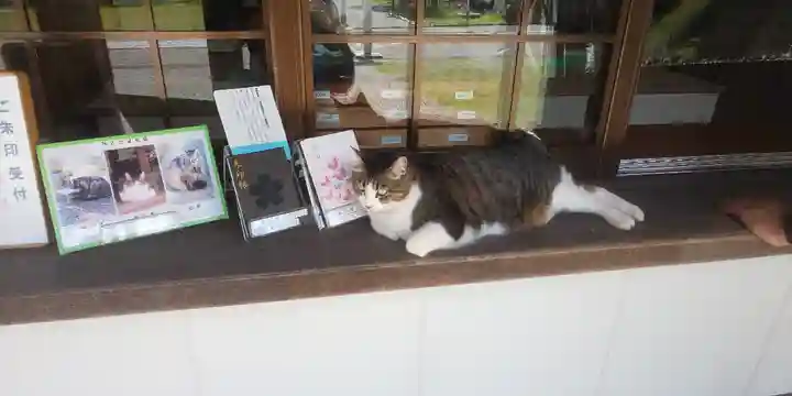 山梨縣護國神社の動物