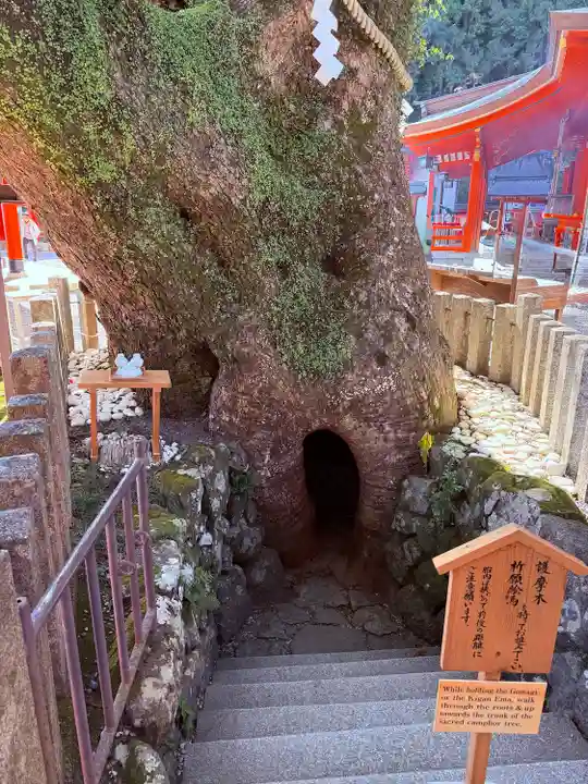 熊野那智大社(和歌山県)