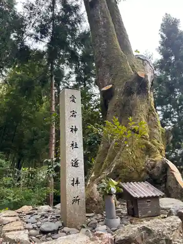 八幡神社(福井県)