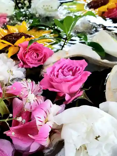 鳩森八幡神社の手水舎