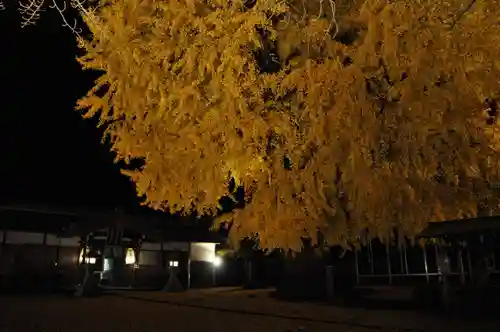 丹生酒殿神社のその他建物