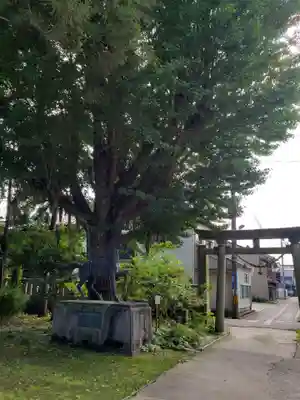 大木白山社のその他建物