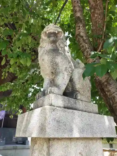 龍宮神社の狛犬