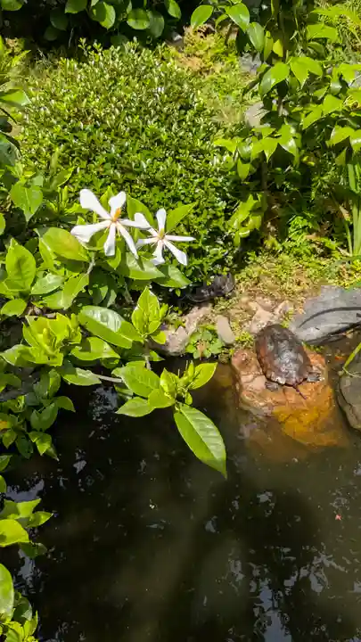 宝蔵寺(京都府)