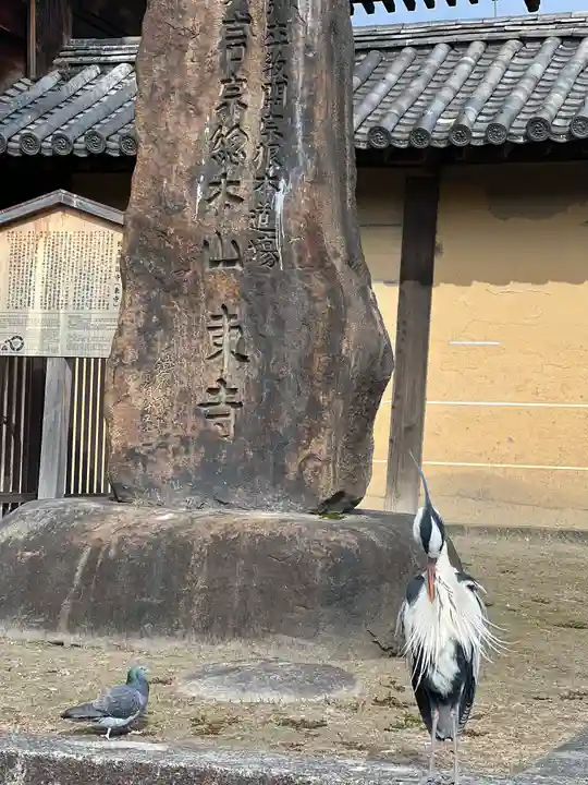 東寺(教王護国寺)の動物