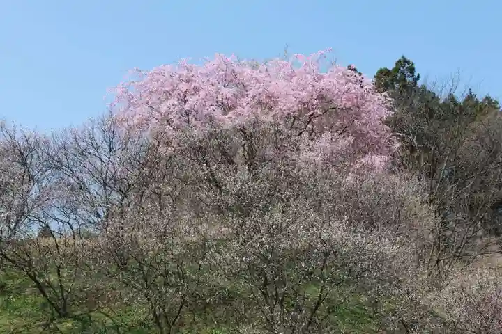 鹿島大神宮の周辺