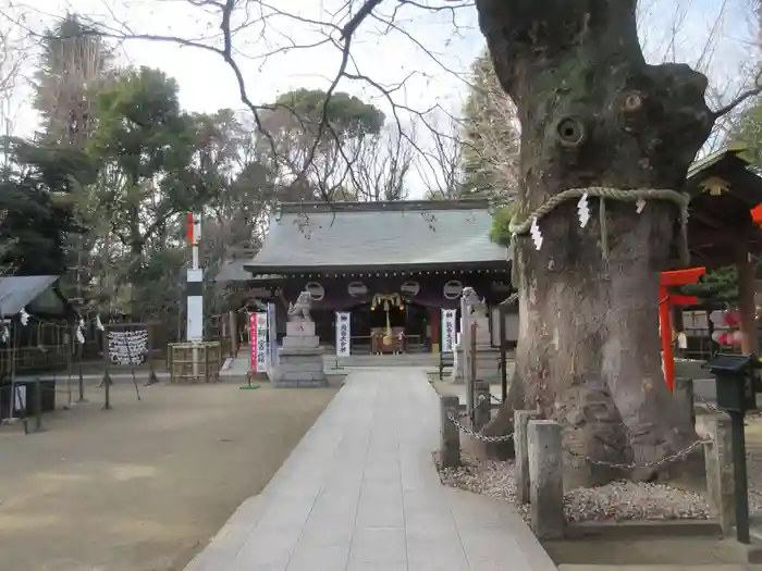 新田神社の本殿