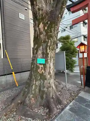 赤城神社(東京都)