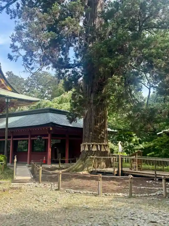 志波彦神社・鹽竈神社の{uncategorized: "未分類", other: "その他", undefined: "問題あり", building: "その他建物", grave: "お墓", sacred_gate: "鳥居", guardian: "狛犬", statue: "像", buddha: "仏像", history: "歴史", nature: "自然", garden: "庭園", animal: "動物", pagoda: "塔", temizu: "手水舎", mountain_gate: "山門・神門", sanctuary: "本殿・本堂", subordinate: "末社・摂社", art: "芸術", scenery: "景色", jizo: "地蔵", ema: "絵馬", goshuin: "御朱印", omikuji: "おみくじ", items: "授与品その他", amulet: "お守り", goshuincho: "御朱印帳", eats: "食事", festival: "お祭り", votive_dance: "神楽", shichigosan: "七五三参", wedding: "結婚式", experience: "体験その他", initially: "初詣", around: "周辺", anti_infection: "感染症対策"}