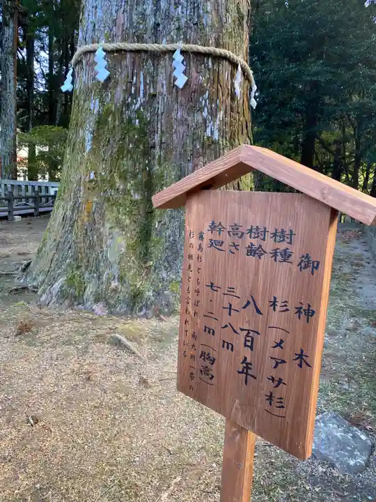 霧島神宮(鹿児島県)