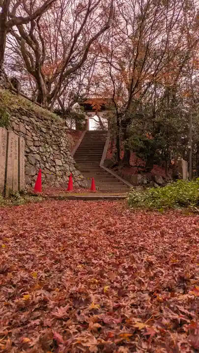 松ヶ崎大黒天 妙圓寺(妙円寺)(京都府)