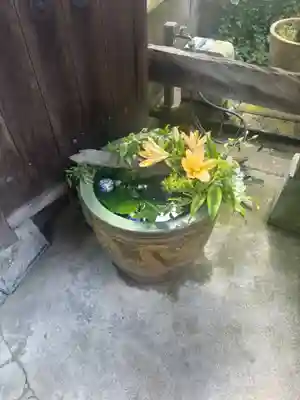 浅野川神社(石川県)