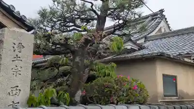 西方寺(京都府)