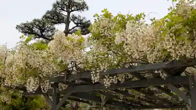 誉田八幡宮(大阪府)