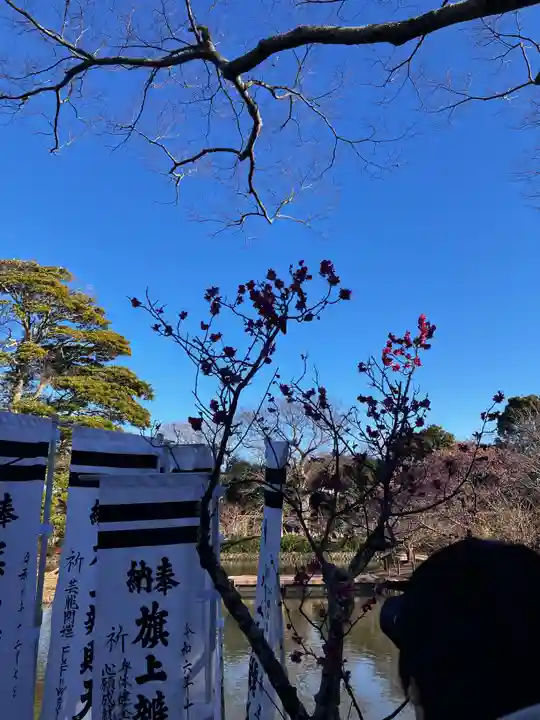 鶴岡八幡宮の自然