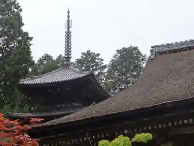 常樂寺(滋賀県)
