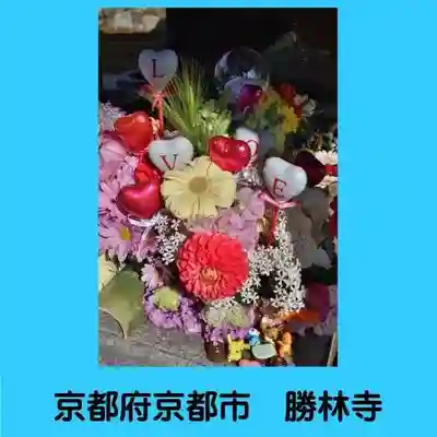 勝林寺の手水舎