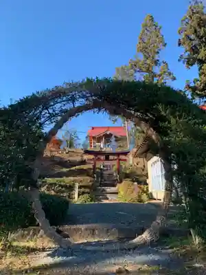 津島神社のその他建物