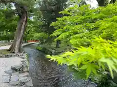 賀茂別雷神社（上賀茂神社）(京都府)