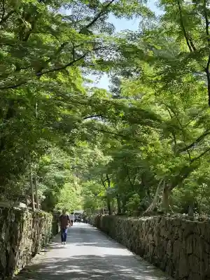 興聖寺（興聖寶林禅寺）の{uncategorized: "未分類", other: "その他", undefined: "問題あり", building: "その他建物", grave: "お墓", sacred_gate: "鳥居", guardian: "狛犬", statue: "像", buddha: "仏像", history: "歴史", nature: "自然", garden: "庭園", animal: "動物", pagoda: "塔", temizu: "手水舎", mountain_gate: "山門・神門", sanctuary: "本殿・本堂", subordinate: "末社・摂社", art: "芸術", scenery: "景色", jizo: "地蔵", ema: "絵馬", goshuin: "御朱印", omikuji: "おみくじ", items: "授与品その他", amulet: "お守り", goshuincho: "御朱印帳", eats: "食事", festival: "お祭り", votive_dance: "神楽", shichigosan: "七五三参", wedding: "結婚式", experience: "体験その他", initially: "初詣", around: "周辺", anti_infection: "感染症対策"}