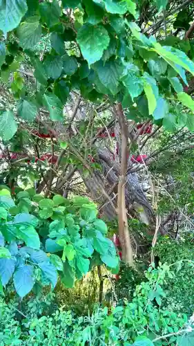 稲荷神社（尾白内）(北海道)