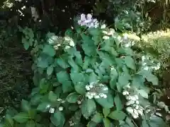 叶神社（東叶神社）(神奈川県)