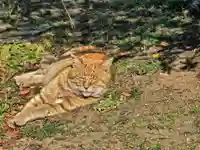 成田山新勝寺(千葉県)