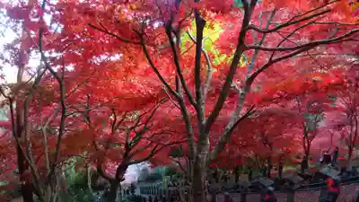 大山寺(神奈川県)