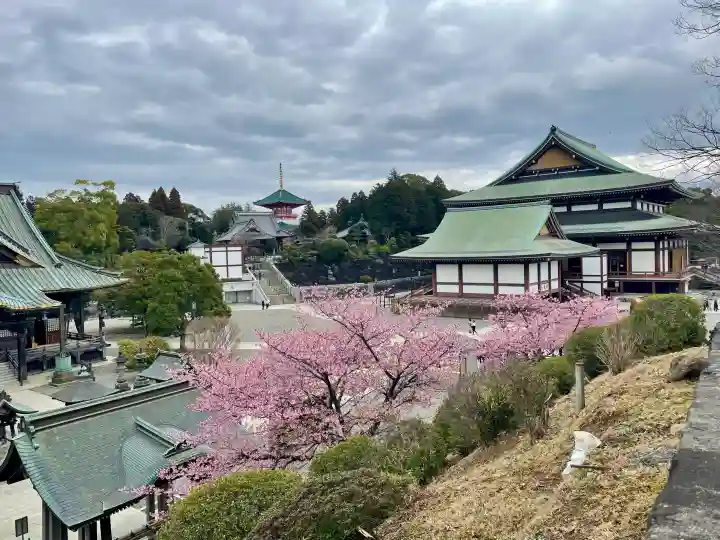 成田山新勝寺の{uncategorized: "未分類", other: "その他", undefined: "問題あり", building: "その他建物", grave: "お墓", sacred_gate: "鳥居", guardian: "狛犬", statue: "像", buddha: "仏像", history: "歴史", nature: "自然", garden: "庭園", animal: "動物", pagoda: "塔", temizu: "手水舎", mountain_gate: "山門・神門", sanctuary: "本殿・本堂", subordinate: "末社・摂社", art: "芸術", scenery: "景色", jizo: "地蔵", ema: "絵馬", goshuin: "御朱印", omikuji: "おみくじ", items: "授与品その他", amulet: "お守り", goshuincho: "御朱印帳", eats: "食事", festival: "お祭り", votive_dance: "神楽", shichigosan: "七五三参", wedding: "結婚式", experience: "体験その他", initially: "初詣", around: "周辺", anti_infection: "感染症対策"}