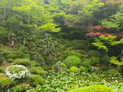 明寿院(滋賀県)