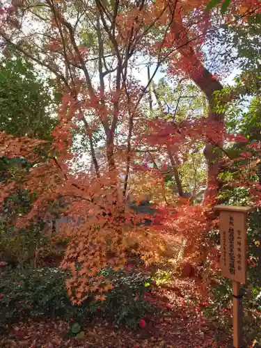 宮山神社(神奈川県)