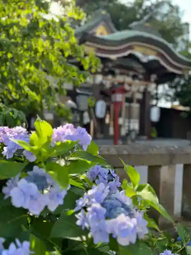 川越八幡宮(埼玉県)