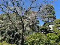 貞源寺の{uncategorized: "未分類", other: "その他", undefined: "問題あり", building: "その他建物", grave: "お墓", sacred_gate: "鳥居", guardian: "狛犬", statue: "像", buddha: "仏像", history: "歴史", nature: "自然", garden: "庭園", animal: "動物", pagoda: "塔", temizu: "手水舎", mountain_gate: "山門・神門", sanctuary: "本殿・本堂", subordinate: "末社・摂社", art: "芸術", scenery: "景色", jizo: "地蔵", ema: "絵馬", goshuin: "御朱印", omikuji: "おみくじ", items: "授与品その他", amulet: "お守り", goshuincho: "御朱印帳", eats: "食事", festival: "お祭り", votive_dance: "神楽", shichigosan: "七五三参", wedding: "結婚式", experience: "体験その他", initially: "初詣", around: "周辺", anti_infection: "感染症対策"}
