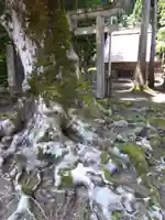白山神社(福井県)