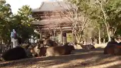 東大寺(奈良県)