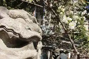 くまくま神社(導きの社 熊野町熊野神社)の狛犬(2021年02月21日(日) 19時34分31秒投稿)