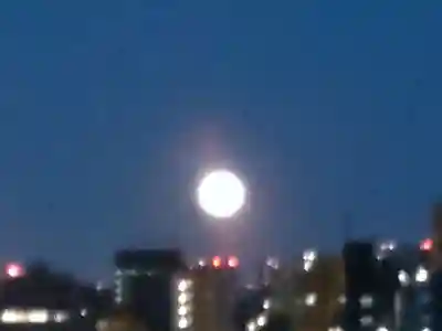 阿佐ヶ谷神明宮(東京都)