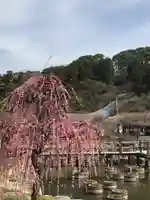 太宰府天満宮の庭園