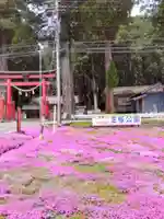 戸隠神社(岐阜県)