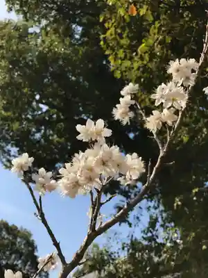 草木八幡神社(福岡県)