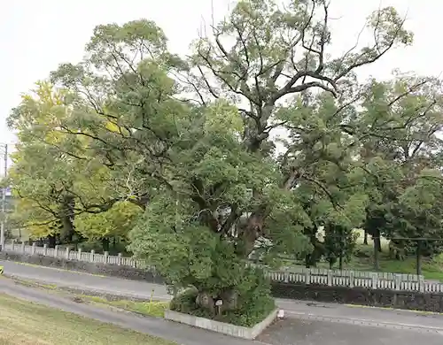 勢力神社(徳島県)