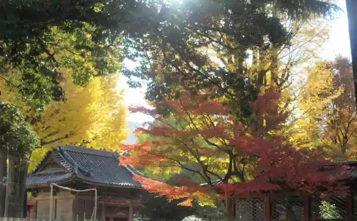 根津神社(東京都)