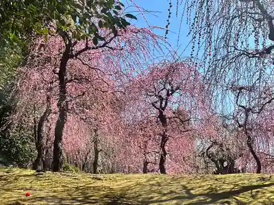 城南宮(京都府)