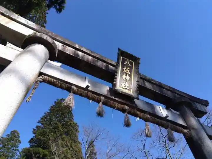 八坂神社(福井県)