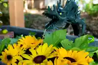 下野 星宮神社の手水舎