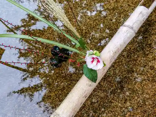 圓光寺のその他建物